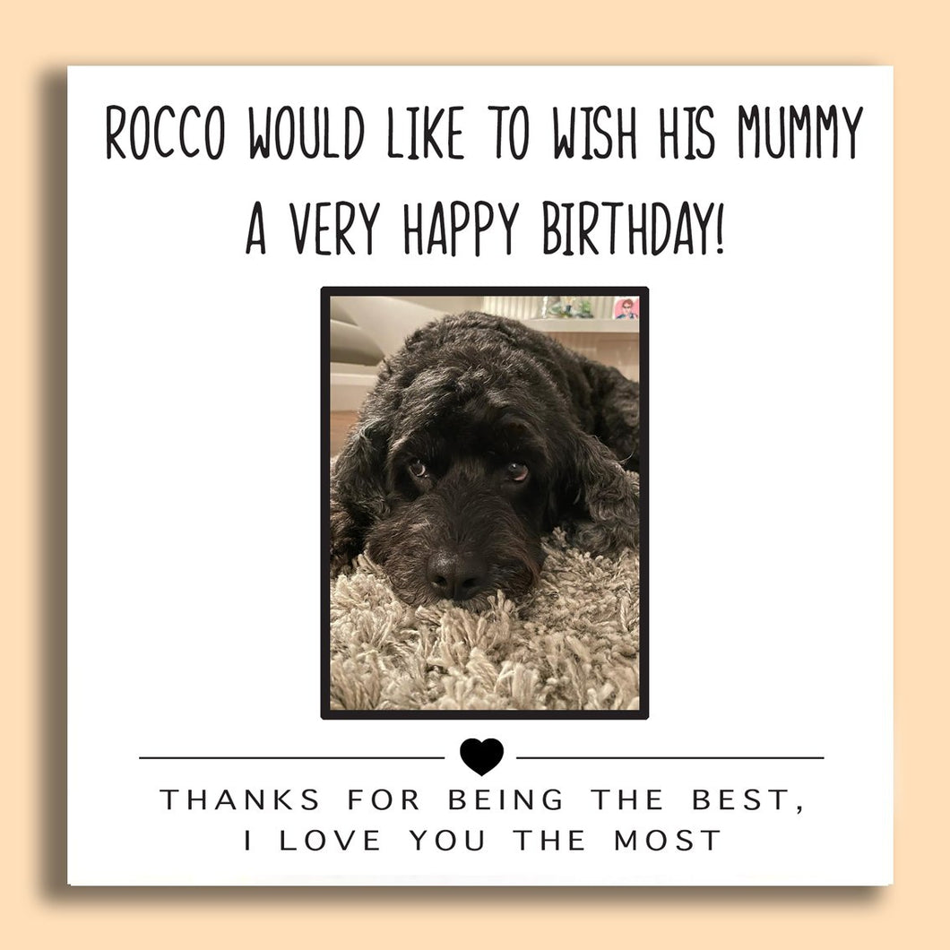 Dog Birthday! Photo Card