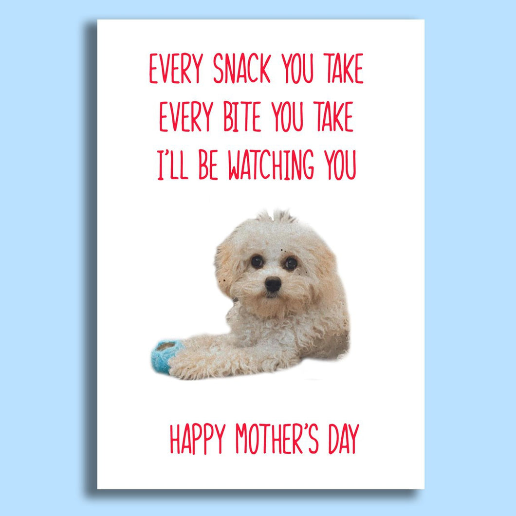 Happy Mothers Day! From Your Dog